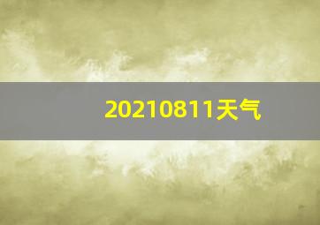 20210811天气