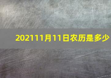 202111月11日农历是多少