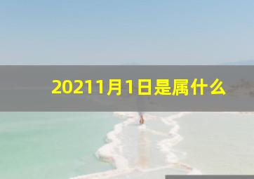 20211月1日是属什么