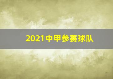 2021中甲参赛球队