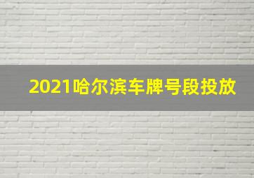 2021哈尔滨车牌号段投放