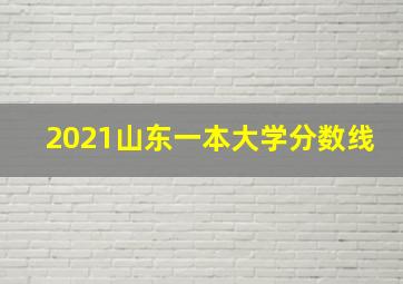 2021山东一本大学分数线