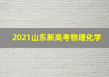 2021山东新高考物理化学