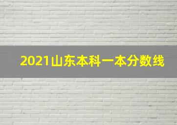 2021山东本科一本分数线