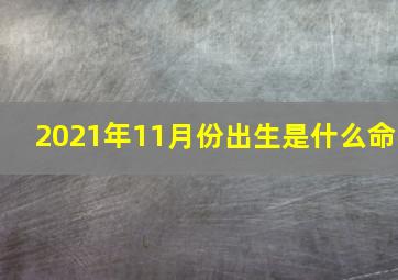 2021年11月份出生是什么命