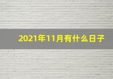 2021年11月有什么日子