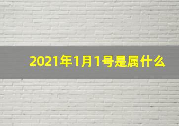 2021年1月1号是属什么