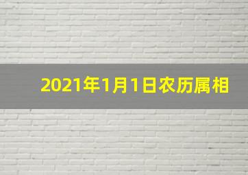 2021年1月1日农历属相