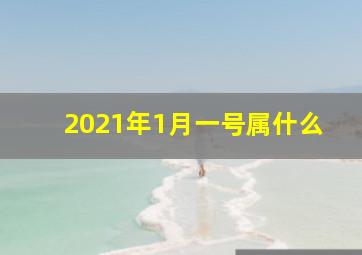 2021年1月一号属什么