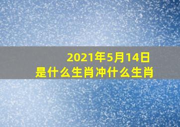 2021年5月14日是什么生肖冲什么生肖