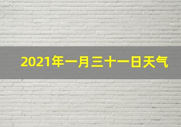 2021年一月三十一日天气