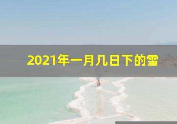 2021年一月几日下的雪