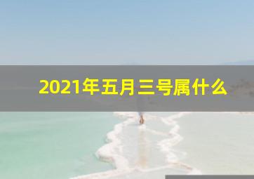 2021年五月三号属什么