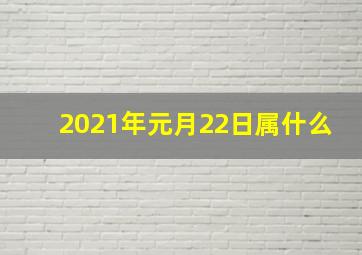 2021年元月22日属什么