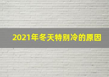 2021年冬天特别冷的原因