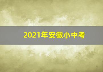 2021年安徽小中考