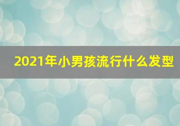 2021年小男孩流行什么发型