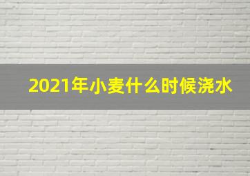 2021年小麦什么时候浇水