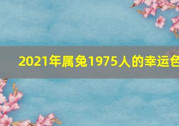 2021年属兔1975人的幸运色