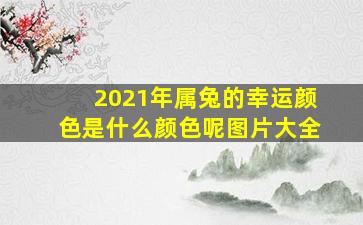 2021年属兔的幸运颜色是什么颜色呢图片大全