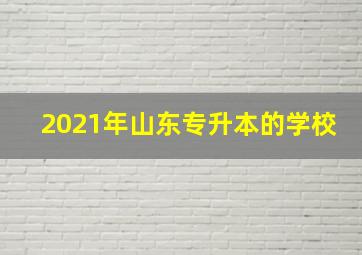 2021年山东专升本的学校