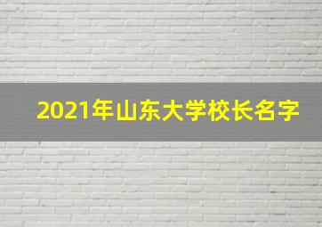 2021年山东大学校长名字