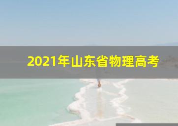 2021年山东省物理高考