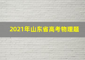 2021年山东省高考物理题