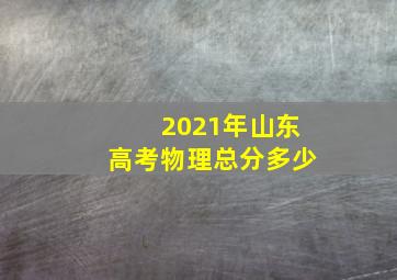 2021年山东高考物理总分多少