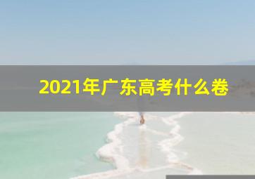 2021年广东高考什么卷