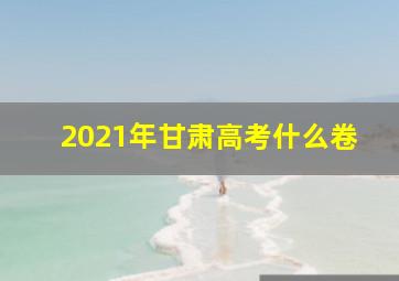 2021年甘肃高考什么卷