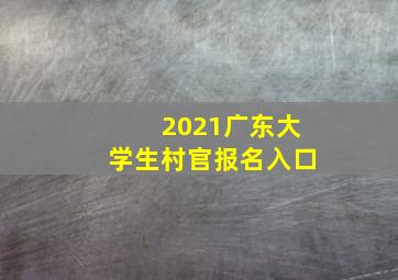 2021广东大学生村官报名入口