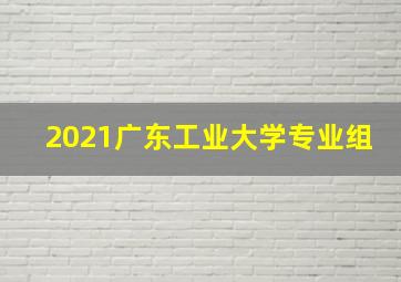 2021广东工业大学专业组