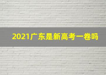 2021广东是新高考一卷吗