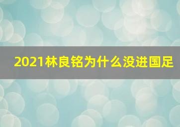 2021林良铭为什么没进国足