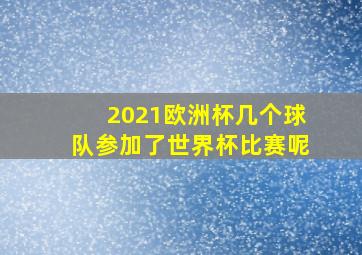 2021欧洲杯几个球队参加了世界杯比赛呢