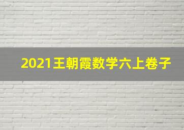 2021王朝霞数学六上卷子