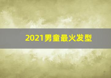 2021男童最火发型