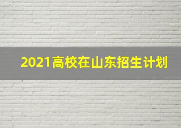 2021高校在山东招生计划