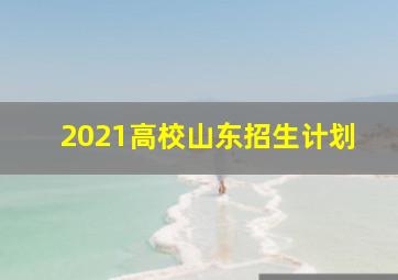 2021高校山东招生计划