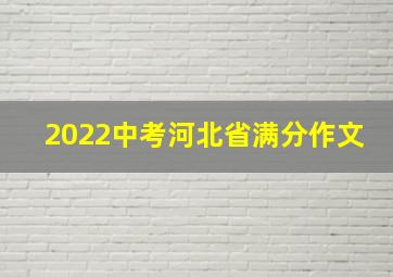 2022中考河北省满分作文