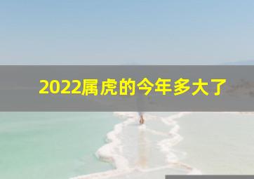 2022属虎的今年多大了