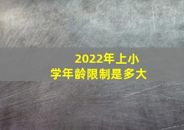 2022年上小学年龄限制是多大