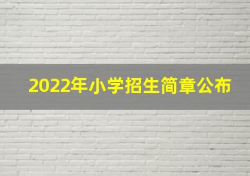 2022年小学招生简章公布