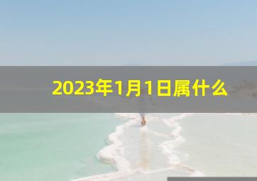 2023年1月1日属什么