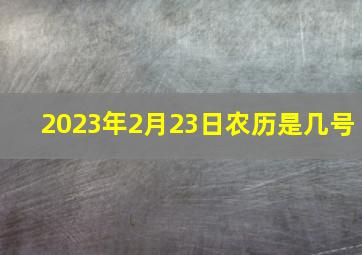 2023年2月23日农历是几号