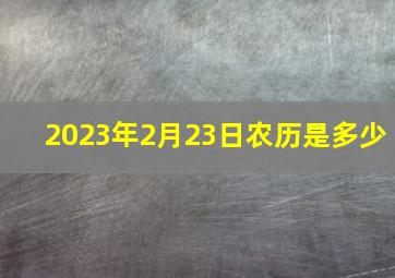 2023年2月23日农历是多少