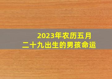 2023年农历五月二十九出生的男孩命运