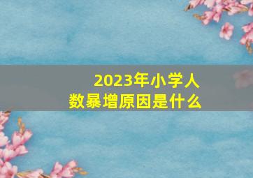 2023年小学人数暴增原因是什么