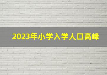 2023年小学入学人口高峰